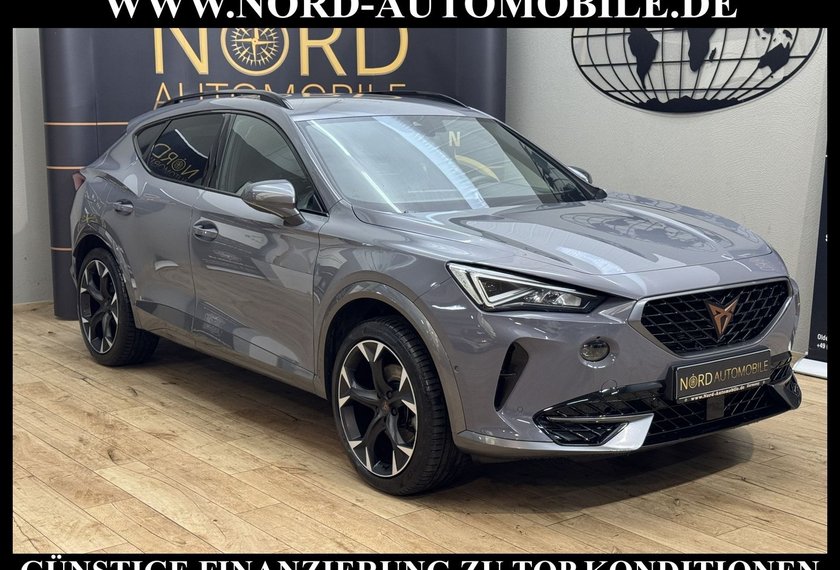 Cupra Formentor Formentor 2.0 TDI DSG Leder/Kamera/Navi/19/