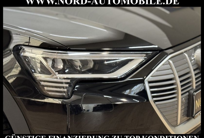 Audi e-tron e-tron 55 QU. Leder/Kamera/Navi/LED/20/97,9%