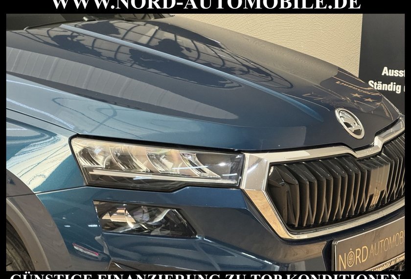 Skoda Karoq Karoq Business 2.0 TDI DSG Virt.Cockpit/Kamera/