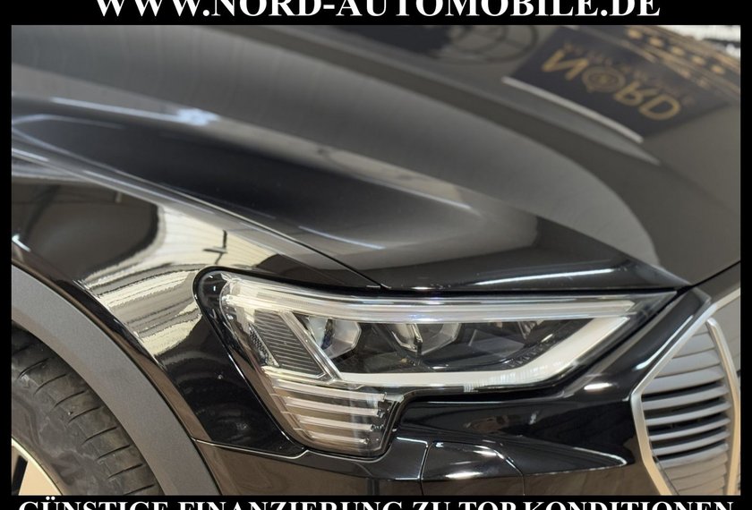 Audi e-tron e-tron 50 QU. Teilleder/Kamera/Navi/LED/20