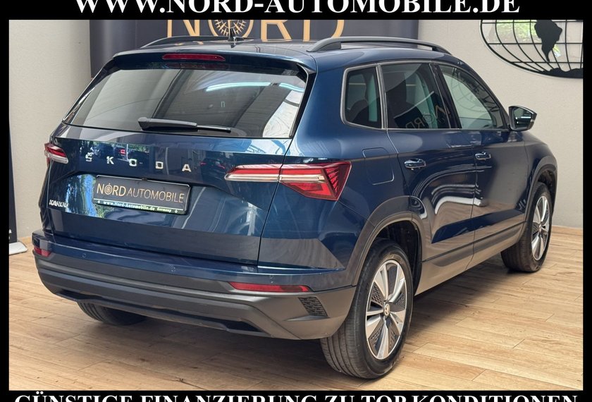 Skoda Karoq Karoq Ambition 2.0 TDI DSG Virt.Cockpit/AHK/Navi