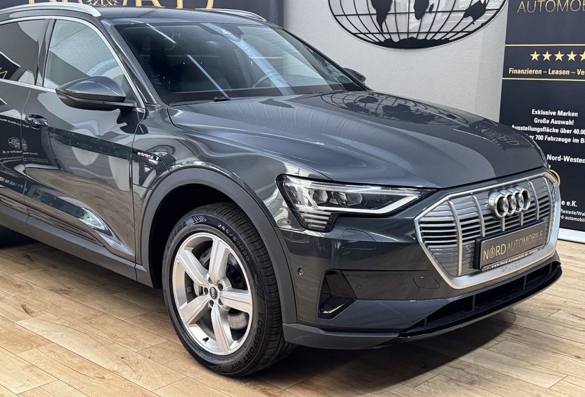 Audi e-tron e-tron 50 QU.Teilleder/Matrix/B&amp;O/ACC/Kamera