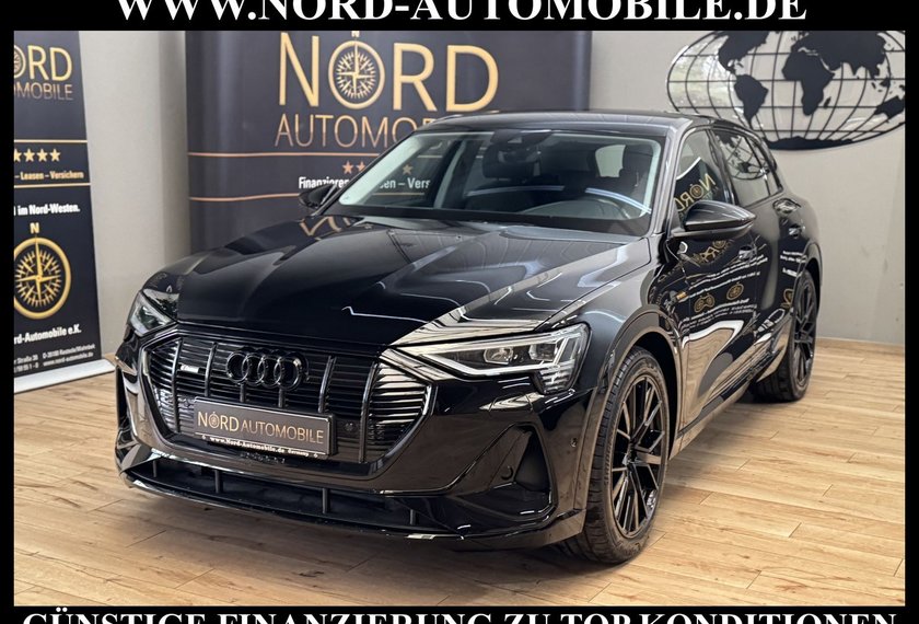 Audi e-tron e-tron 50 QU. S-Line Leder/Navi/LED/21/