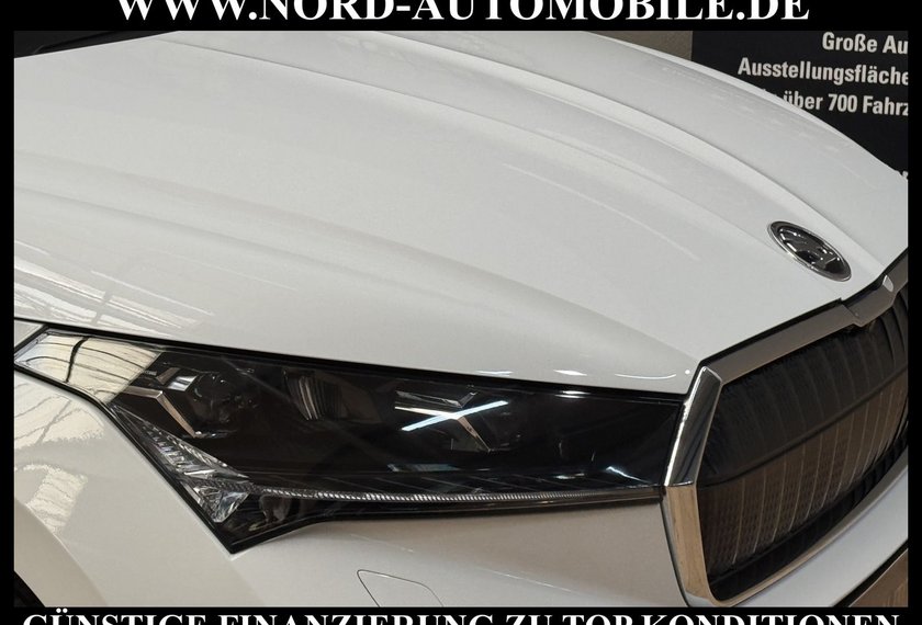 Skoda Enyaq Enyaq iV 80 Eco Suite Leder/AHK/Pano/Kamera 80 E