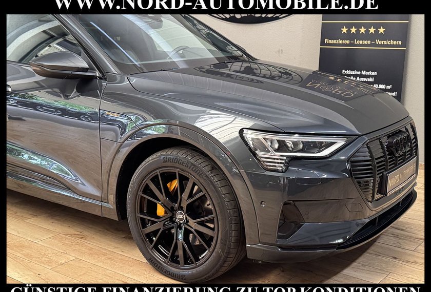 Audi e-tron e-tron 50 QU.S-Line Teilleder/Kamera/Navi/21