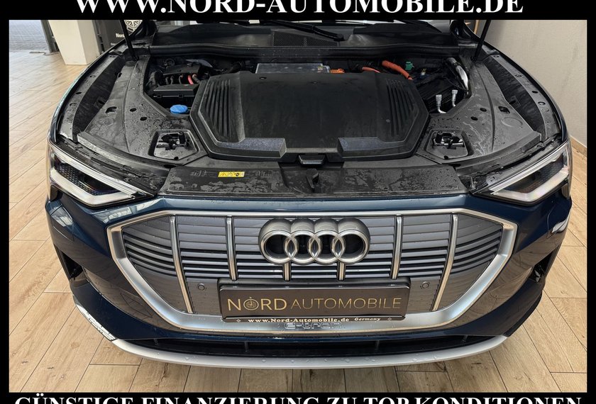 Audi e-tron e-tron 50 QU.S-Line Teilleder/Kamera/Head-Up/20