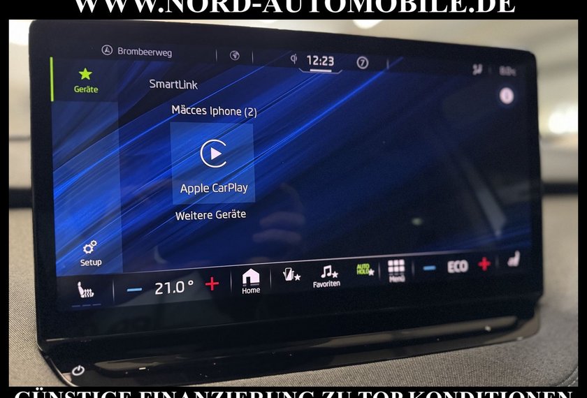 Skoda Enyaq Enyaq iV 60 Loft Kamera/Teilleder/Navi/LED/20