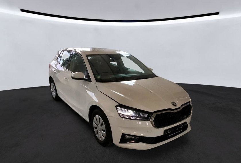 Skoda Fabia Fabia Selection 1.0 MPI Klimatronic/PDC/SHZ