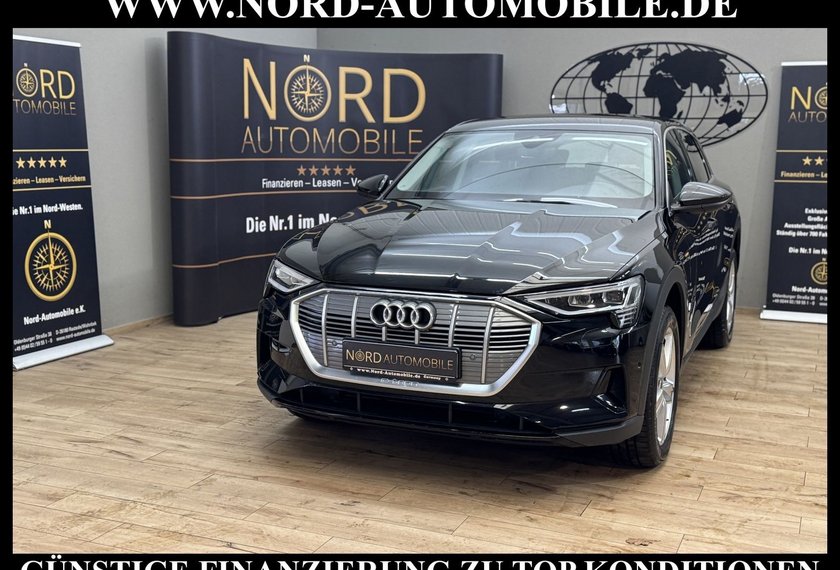 Audi e-tron e-tron 55 QU. Leder/Kamera/Navi/LED/20/97,9%