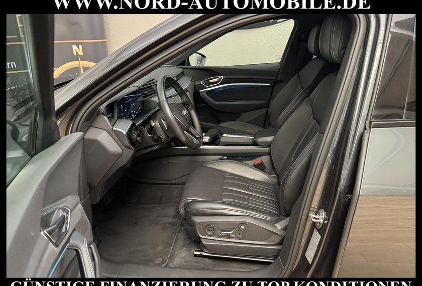 Audi e-tron e-tron 50 QU.S-Line Teilleder/Kamera/Navi/21