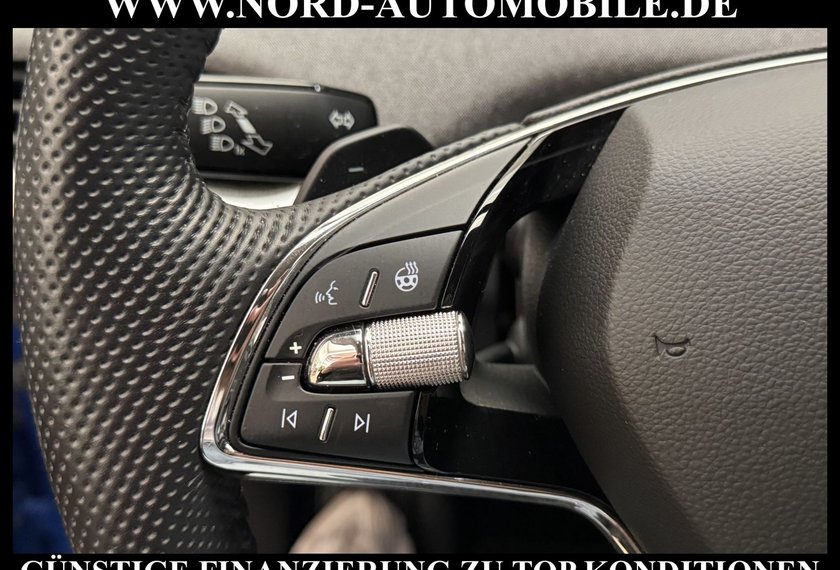 Skoda Enyaq Enyaq iV 80 Loft Kameras/Navi/LED/ACC/20/Side&amp;La