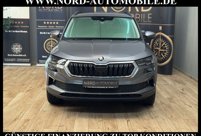 Skoda Karoq Karoq Style 2.0 TDI DSG AHK/StHz/Kamera/Virt.Coc