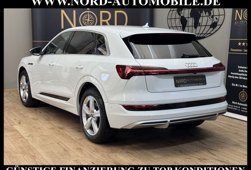 Audi e-tron e-tron 50 QU.S-Line Teilleder/Kamera/20/LED