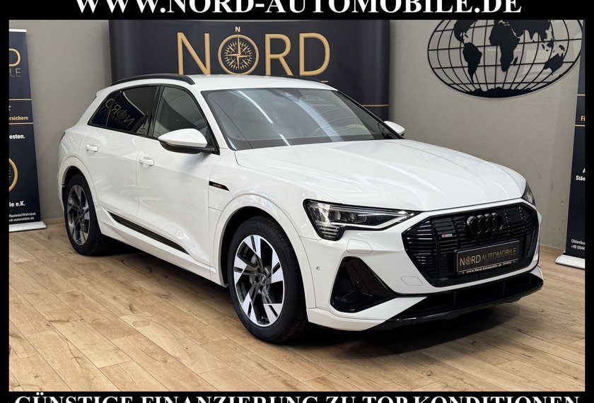 Audi e-tron e-tron 50 QU.S-Line Teilleder/Kamera/LED/Navi/20