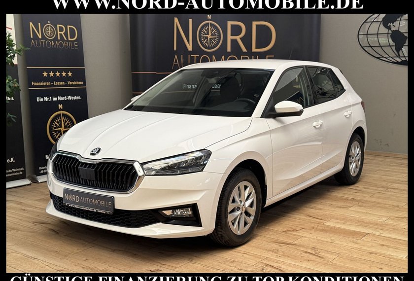 Skoda Fabia Fabia Ambition 1.0 TSI LED/Klima/PDC/15