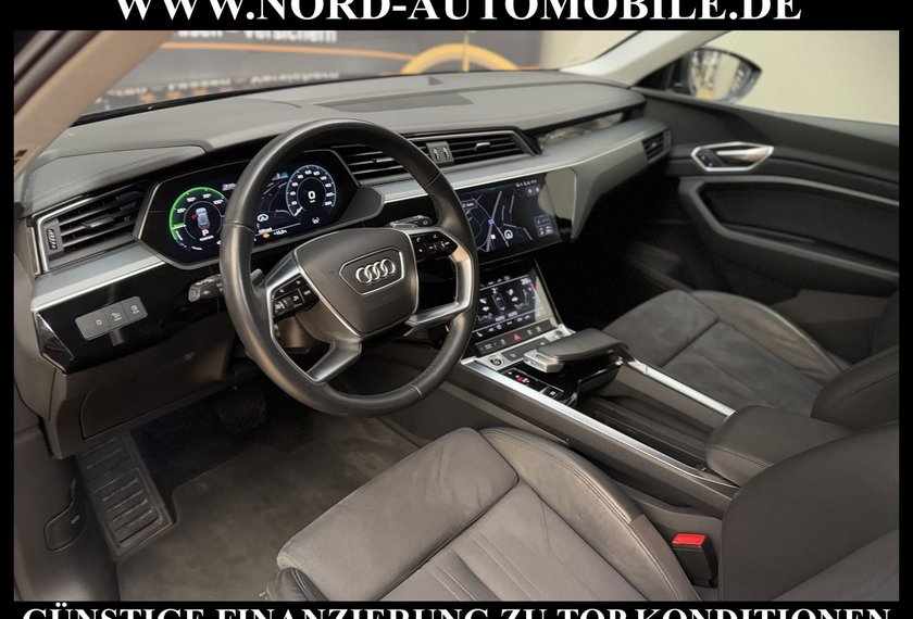 Audi e-tron e-tron 50 QU. Teilleder/Kamera/Navi/LED/20
