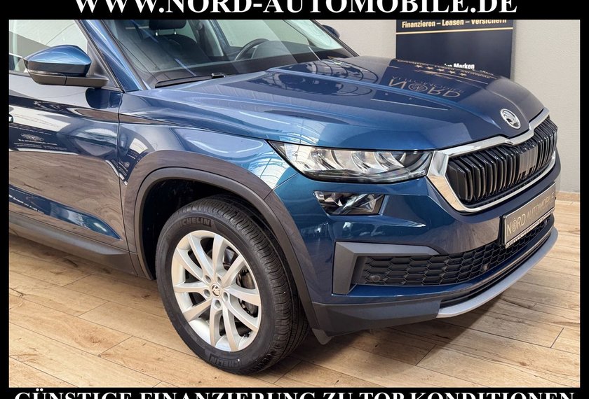 Skoda Kodiaq Kodiaq Ambition 2.0 TDI DSG Kamera/Navi/LED/18