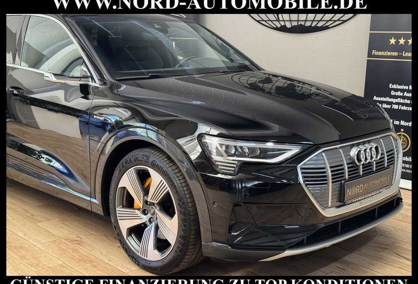 Audi e-tron e-tron 50 QU.Advanced Kamera/Pano/Matrix/21/