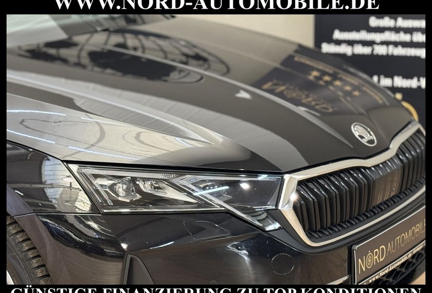 Skoda Octavia Octavia Combi TDI DSG SELECTION LODGE *360*AHK*