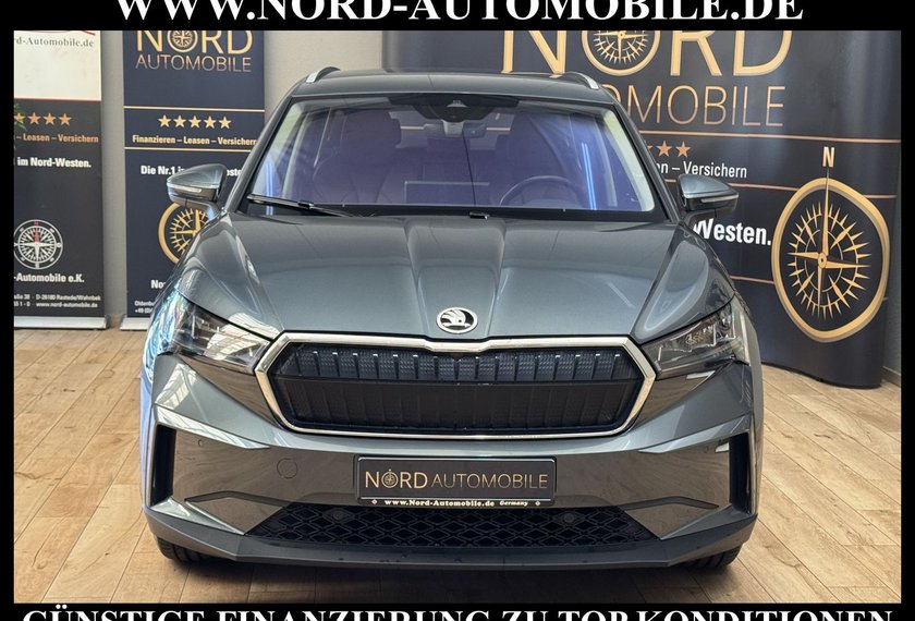Skoda Enyaq Enyaq iV 80 ecoSuite Leder/Wärmepumpe/AHK/Kamera