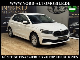 Skoda Fabia Fabia Active 1.0 MPI PDC/LED/Klima