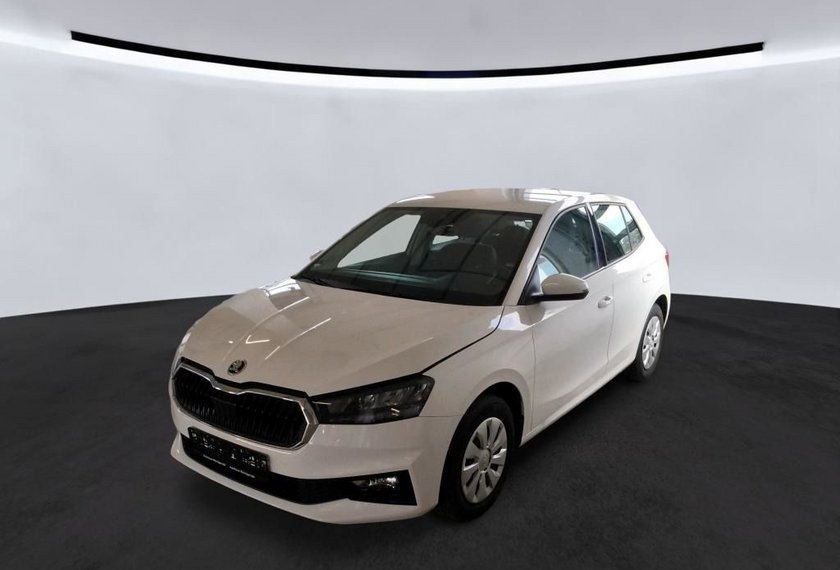 Skoda Fabia Fabia Selection 1.0 MPI Klimatronic/PDC/SHZ