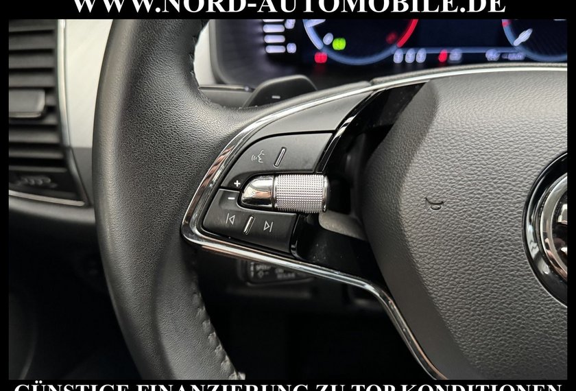 Skoda Kodiaq Kodiaq Ambition 2.0 TDI DSG Virt.Cockpit/AHK/LED