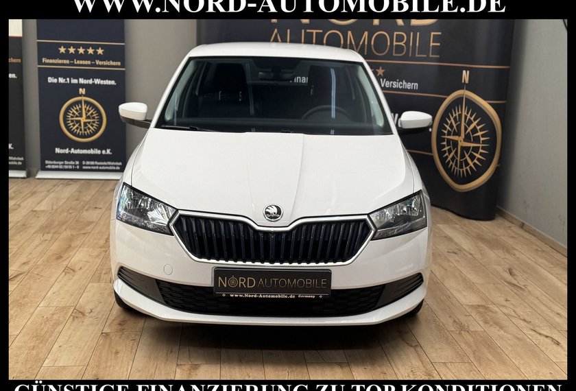 Skoda Fabia Fabia Combi Active 1.0 MPI Klima/SHZ/PDC