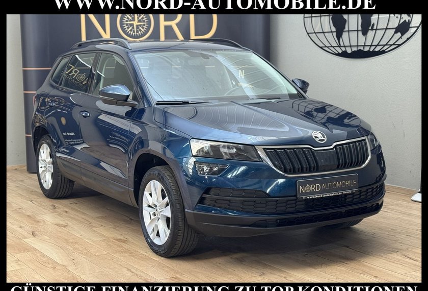 Skoda Karoq Karoq Ambition 2.0 TDI DSG Navi/PDC/SHZ/17