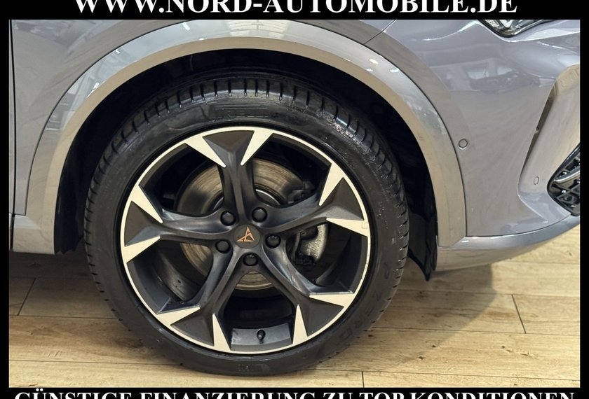 Cupra Formentor Formentor 2.0 TDI DSG Leder/Kamera/Navi/19/