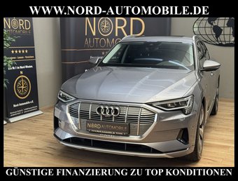 Audi e-tron e-tron 55 Sportback Advanced Leder/Pano/AHK/21