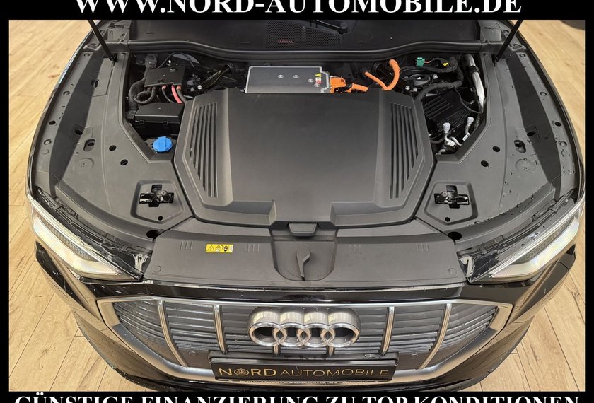 Audi e-tron e-tron 50 QU. Kameras/Navi/LED/