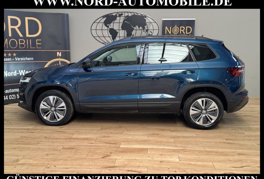 Skoda Karoq Karoq Business 2.0 TDI DSG Virt.Cockpit/Kamera/
