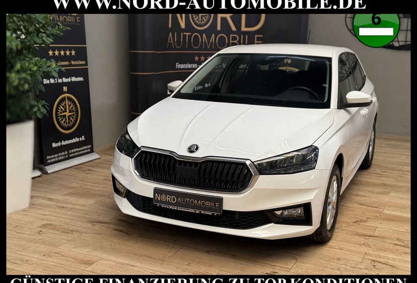 Skoda Fabia Fabia Ambition 1.0 TSI LED/Klima/PDC/15