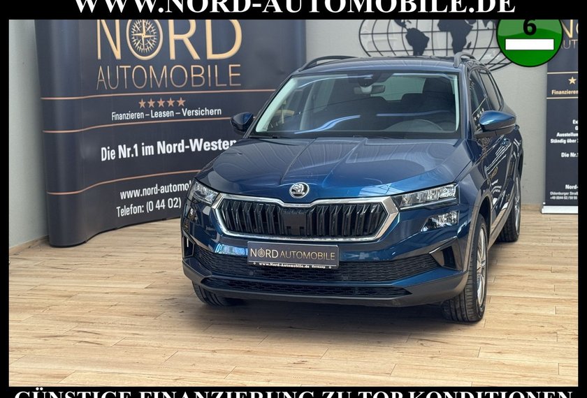 Skoda Karoq Karoq Business 2.0 TDI DSG Virt.Cockpit/Kamera/