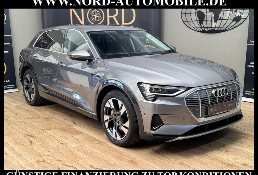 Audi e-tron e-tron 55 QU.Advanced Pano/Kamera/B&amp;O/20/AHK