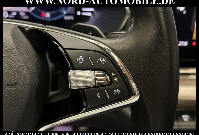 Skoda Octavia Octavia Scout Combi 2.0 TDI DSG Pano/AHK/StHz/18