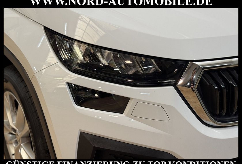 Skoda Kodiaq Kodiaq 2.0 TDI Ambition 4x4 DSG StHz/Pano/LED/