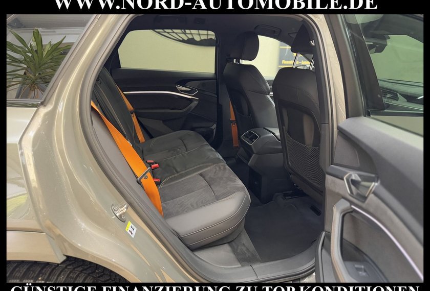 Audi e-tron e-tron 55 QU.S-Line Black Edition Kamera/Matrix/