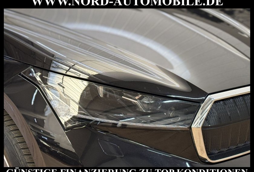 Skoda Enyaq Enyaq iV 80 Loft Automatik Kamera/Wärmepumpe/