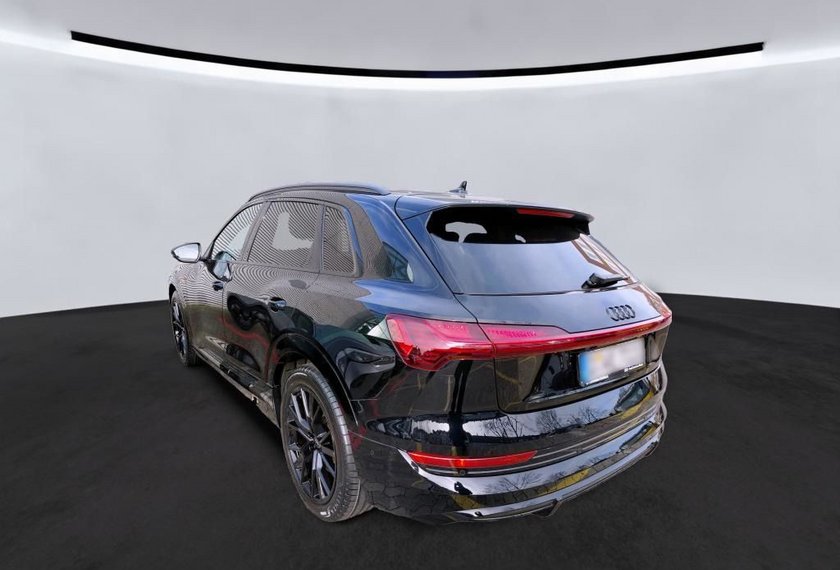 Audi e-tron e-tron 50 QU.S-Line Kamera/ACC/Navi/21/Leder