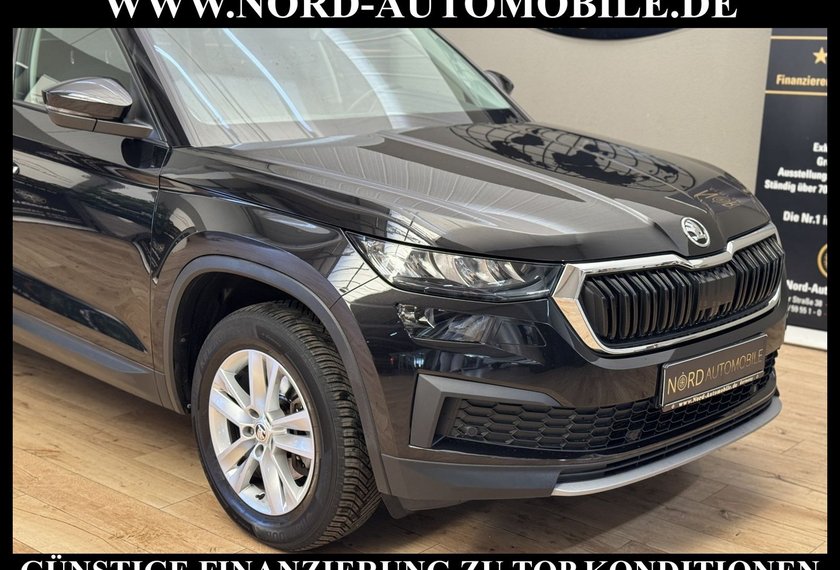 Skoda Kodiaq Kodiaq Ambition 2.0 TDI DSG Virt.Cockpit/Kamera/