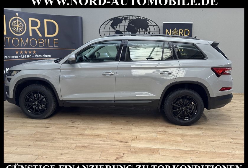 Skoda Kodiaq Kodiaq Ambition 2.0 TDI DSG Kamera/LED/17