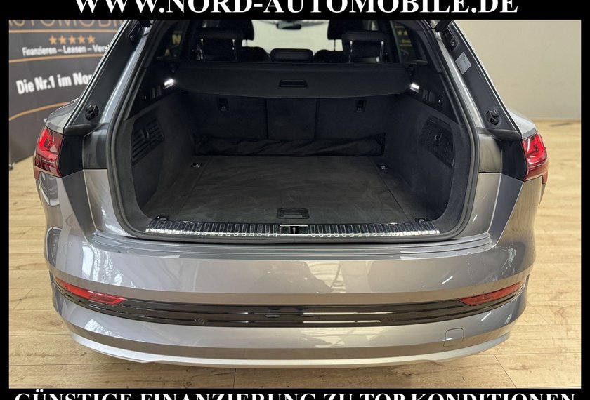 Audi e-tron e-tron 50 QU.S-Line Kamera/Matrix/B&amp;O/21/Side&amp;La