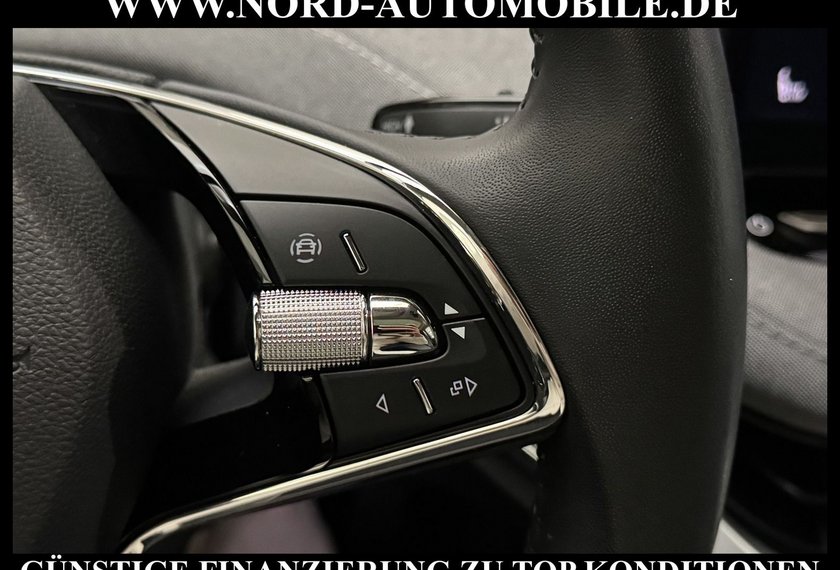 Skoda Enyaq Enyaq iV 60 Loft Panorama/Kamera/Teilleder/19
