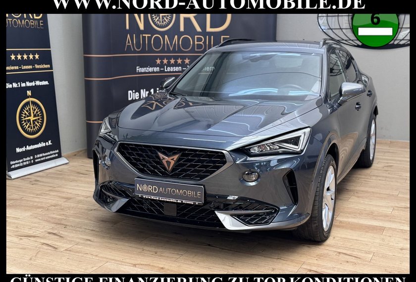 Cupra Formentor Formentor 1.5 TSI DSG Kamera/Navi/LED