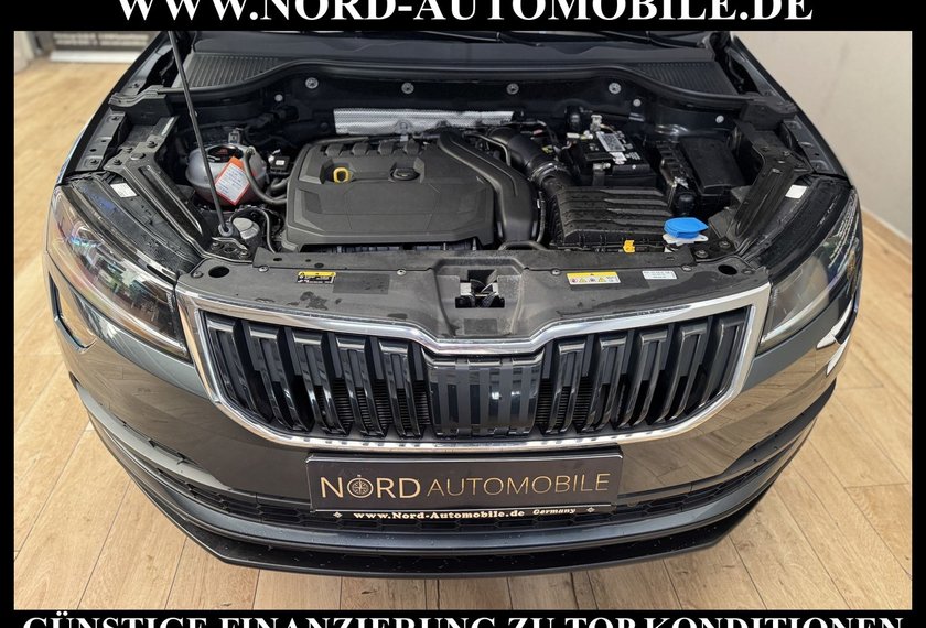 Skoda Karoq Karoq Ambition Clever 1.5 TSI DSG Navi/LED/PDC