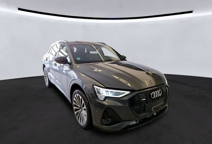 Audi e-tron e-tron 50 QU.S-Line Optik schwarz/21/ACC/Matrix/