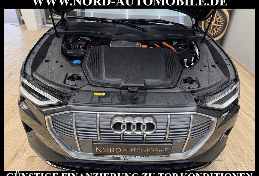 Audi e-tron e-tron 50 QU.Leder/Kamera/AHK/Panorama/21