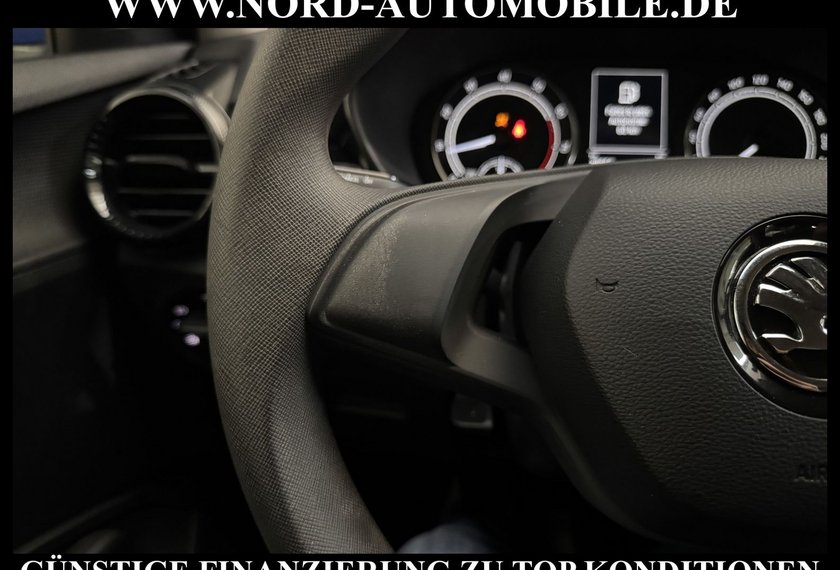 Skoda Fabia Fabia Active 1.0 MPI LED/Klima/PDC/Spurhalte